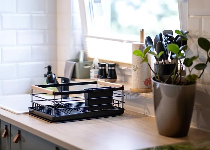 Leonidas Stromberg (Hunsrueck)